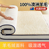 高档羊毛床垫软垫床褥子冬季垫被加厚垫褥家用单人保暖羊羔绒