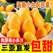 海南小台农芒果新鲜9斤小台芒当季热带水果三亚特产甜心芒金黄芒