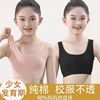 女童内衣背心吊带发育初期纯棉防凸点抹胸少女文胸初中学生8-16岁