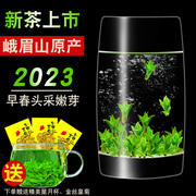 头采2023小叶苦丁茶特级新茶四川峨眉山青山绿水野生嫩芽250g