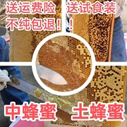 自养蜂蜜中蜂蜜土蜂蜜农家蜜百花蜜纯天然美容保健增强免疫力