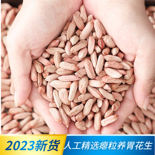 山东瘪花生米生新2023小瘪花生米养胃红皮小粒干瘪小秕子花生米