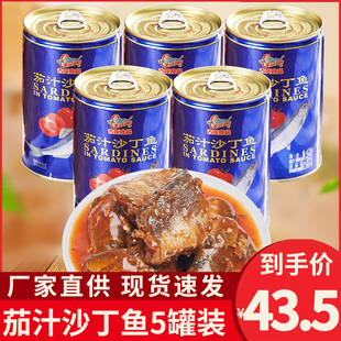 厦门特产古龙茄汁沙丁鱼罐头425g*5户外即食下饭菜海鲜罐头食品