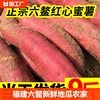福建六鳌红薯新鲜红心地瓜番薯农家自种糖心蜜薯小山芋蔬菜10食用
