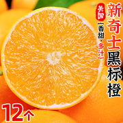 美国新奇士(新奇士)黑标橙12个橙子，当季新鲜时令水果手剥脐橙甜橙整箱