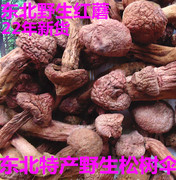 红蘑菇松树伞东北特产蘑菇肉蘑菇蘑菇小松蘑新鲜干货250g
