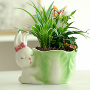 兔子多肉花盆陶瓷可爱创意，个性桌面花园绿植盆栽卡通