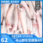 舟山特产新鲜龙头鱼豆腐鱼冷冻海鲜野生九肚鱼宝宝辅食水潺鱼4斤