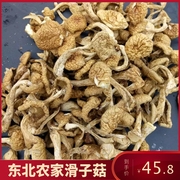 东北特产滑子菇干货500g滑子蘑小鸡炖蘑菇小黄蘑野生蘑菇