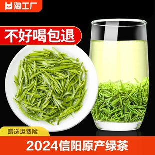 毛尖茶叶信阳绿茶2024新茶高山特级嫩芽浓香型散装500g八仙炒青