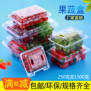 100个一次性透明水果塑料盒有盖保鲜果捞蔬菜，草莓打包装拼盘