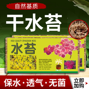 干水苔蝴蝶兰专用水苔兰花专用青苔干苔藓养土铺面水苔无菌营养土