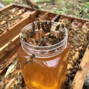 蜂农自产自销纯天然蜂蜜油菜蜜槐花蜜枣花蜜零添加