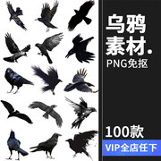 黑色乌鸦渡鸦飞翔鸟类恐怖剪影，png免抠元素图片，后期合成ps素材