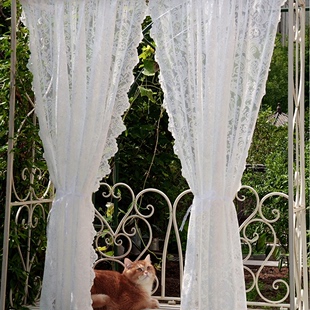 法式公主轻奢蕾丝钉珠窗纱成品窗帘落地卧室阳台穿杆帘门帘小半帘
