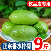 香水无籽青柠檬9斤海南新鲜水果，一级果现摘小青柠奶茶店专用广东