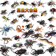仿真动物昆虫甲虫模型蜜蜂蜘蛛蝎子蜈蚣蚂蚁玩具儿童教育认知礼物