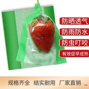 草莓套袋专用纸袋，观光采摘包装袋牛皮纸，防水防雾膜多功能型套袋