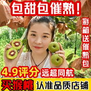 四川红心猕猴桃30枚装奇异果新鲜当季孕妇水果弥猴桃大果整箱蒲江