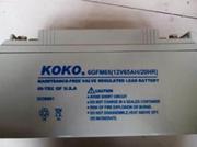 KOKO蓄电池6GFM100可可蓄电池12V100AH UPS铅酸蓄电池质保三年