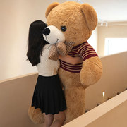 泰迪熊公仔玩偶毛绒玩具，熊猫布娃娃女生送女友生日，情人节礼物大号