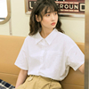 短袖衬衫女日系polo领薄款大学生通勤职业ins潮，宽松上衣衬衣夏季