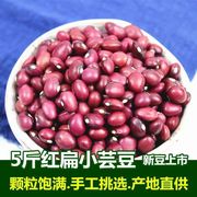 红扁小芸豆 云南农家自产 红豆红芸豆非赤小豆红小豆