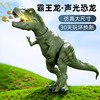 霸王龙玩具恐龙儿童大号电动暴虐雷克斯世界5一7岁男孩的仿真模型