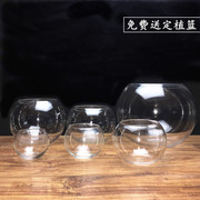 玻璃花瓶透明圆球龙蛋绿萝吊兰圆形，花盆水培绿植，器皿鱼缸送定植篮