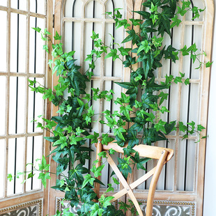 仿真绿植藤条常青藤吊顶，装饰花藤墙面，管道爬藤植物空调管道
