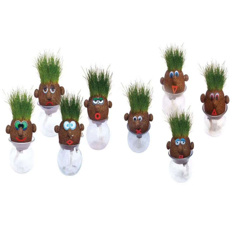 迷你室内长草头娃娃可爱创意，小盆栽浇水长草植物娃娃。