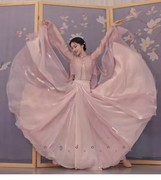 古典舞蹈长袖纱衣女外披两层大摆半身裙飘逸粉色流金中国舞