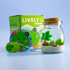 海藻球微景观生态瓶水培，球藻创意迷你植物，桌面玻璃瓶盆栽礼物