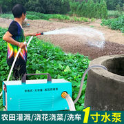 充电水泵农用灌溉抽户外浇菜水泵大功率抽井水12v自吸高压抽水机