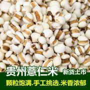 薏米仁薏仁米软糯香甜颗粒饱满正宗小薏仁米五谷杂粮粗粮。