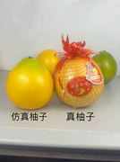 仿真柚子模型家居装饰假水果摆件超市商场拍照摄影假沙田油玩道具