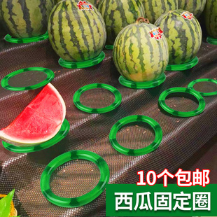 超市水果圆形摆放垫子西瓜，圈固定哈密瓜，不易伤皮套圈防滑垫神器
