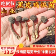云南黑皮鸡枞菌干货 山珍特产50克装味道鲜蘑菇香菇美食用农产品
