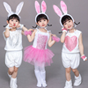 新元旦(新元旦)儿童，小兔子演出服小白兔子动物，表演服装幼儿园舞台舞蹈纱裙