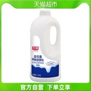 光明原味风味发酵乳1.5千克/桶益生菌酸奶牛奶家庭装大桶装