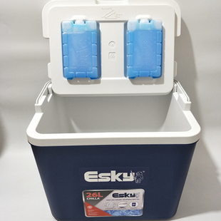 Esky保温箱26L冷藏箱保鲜箱户外冰箱车载冰包带冰砖送冰袋8只