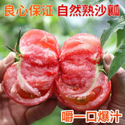 云南西红柿自然熟沙瓤大番茄现摘即食5斤新鲜孕妇水果蔬菜
