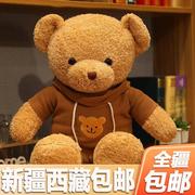 新疆毛衣泰迪熊抱抱熊小熊公仔布娃娃毛绒玩具女生生日礼物开