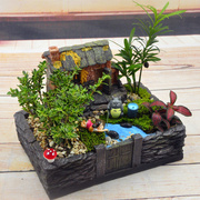 创意苔藓微景观生态瓶龙猫盆栽桌面办公J室DIY室绿植室内小植物