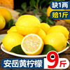 华秧安岳黄柠檬9斤新鲜水果当季现摘皮薄一二级香水小金桔青柠檬