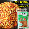 裕盛烧烤料40克*5袋东北烤串烤面筋羊肉串撒料孜然牛肉秘制蘸料包