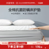 水星家纺全棉床垫抗菌床护垫，家用垫子保护垫，防尘床罩床套床上用品