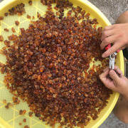 天然野生桃胶500g农家桃树胶，桃花泪桃浆桃油老树胶配皂角米雪燕