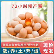 依禾农庄10枚装土鸡蛋农家，散养新鲜30枚生鸡蛋，孕妇月子笨鸡蛋整箱