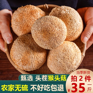 新货古田农家猴头菇干货煲汤食材猴头蘑菇菌菇无硫非特级35元500g